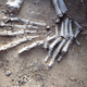Image for article titled Discovery of Brutal Massacre Pushes Back History of Human Warfare